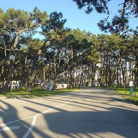 Parque De Campismo Da Da Barra 3* Gafanha da Nazaré