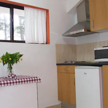 Parque de Campismo Parque De Campismo Da Da Barra Gafanha da Nazaré