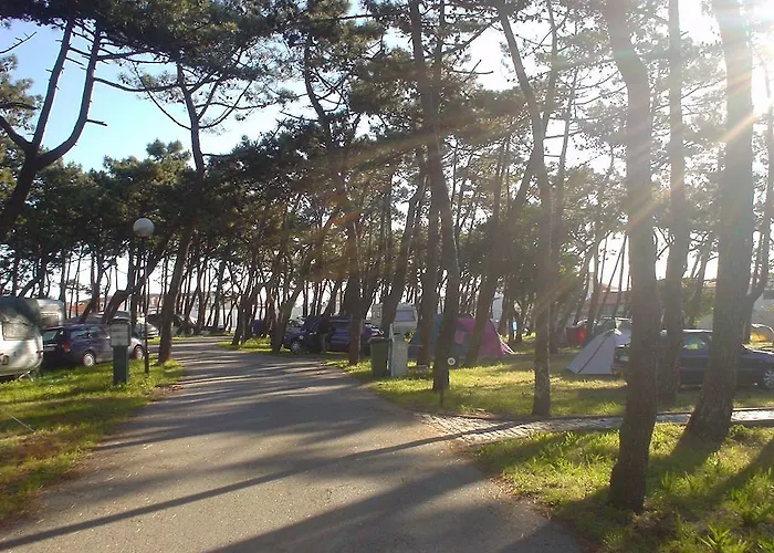 Camping Parque De Campismo Da Da Barra