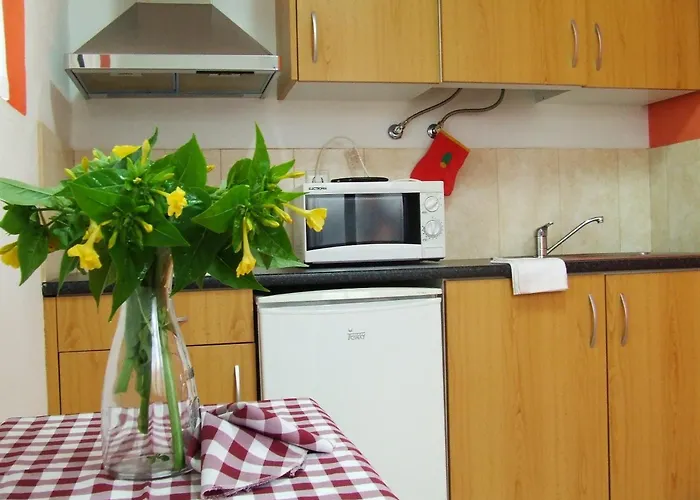 Parque De Campismo Da Da Barra Gafanha da Nazaré